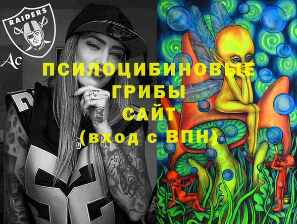 марки lsd Гусь-Хрустальный