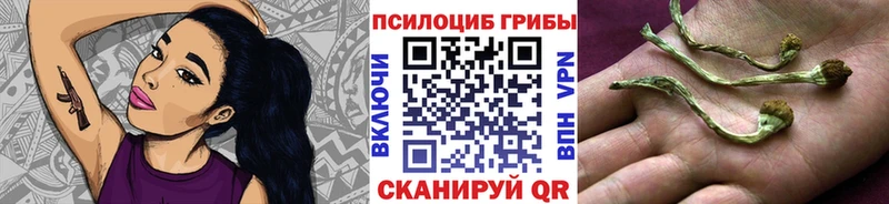 Купить закладки Демидов Псилоцибиновые грибы мухоморы